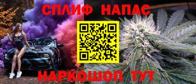 гашик Гусев